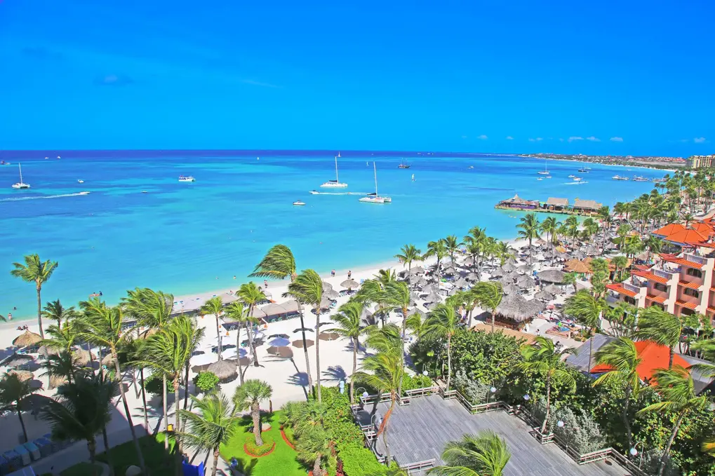 12513683_10154020060062392_4564124082703125061_1